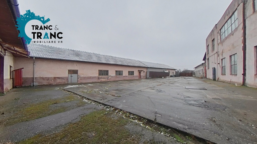 Hală spațioasă cu curte închisă,în Ineu(ID:29412)