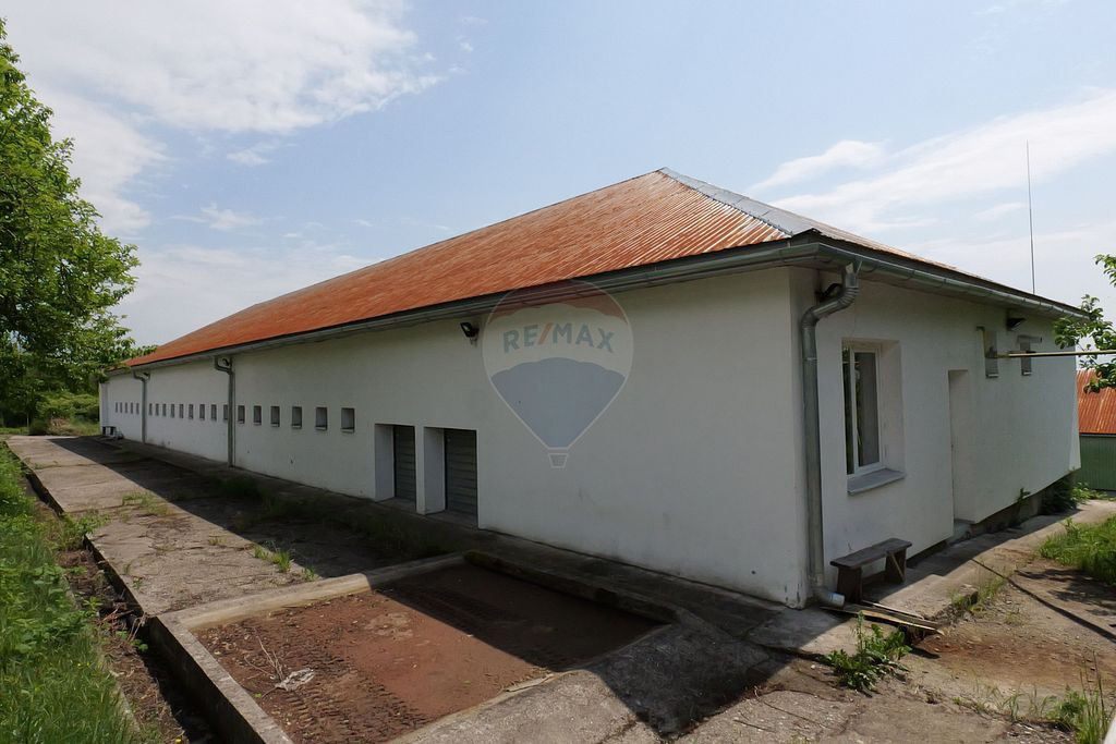 De vanzare - Spațiu industrial cu 3 hale - Comision 0%