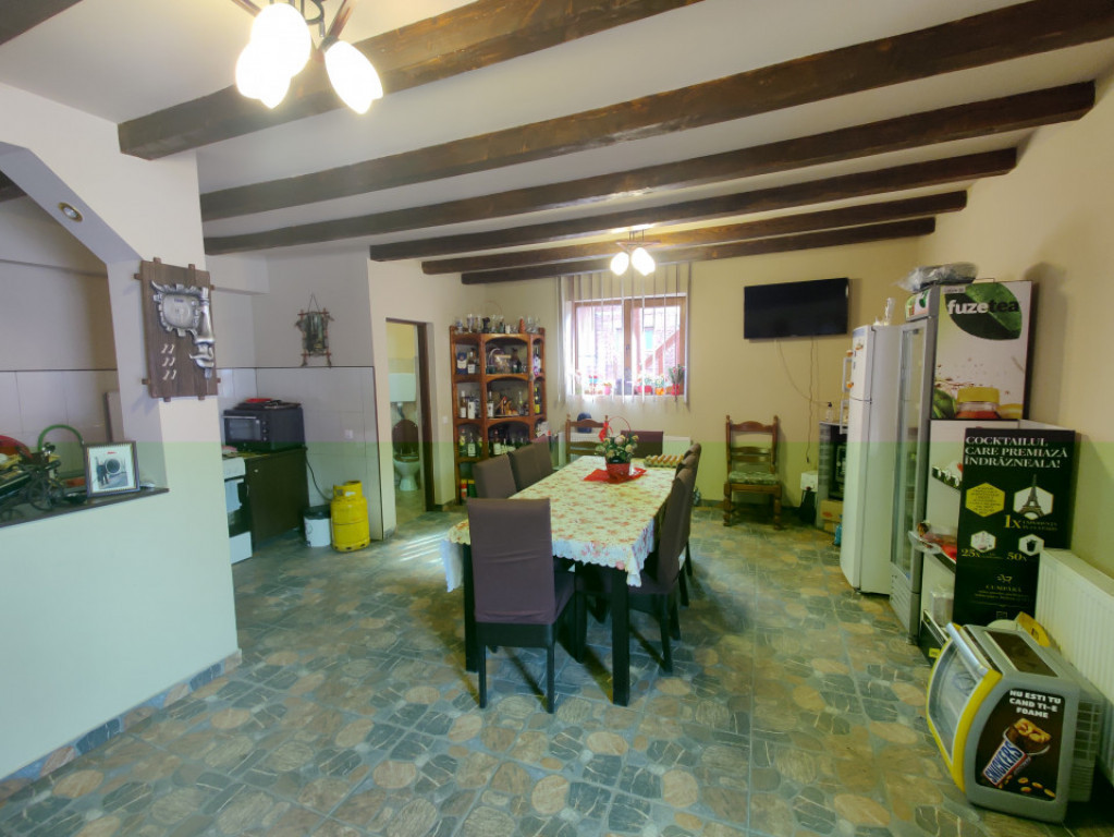 Casa/ case de vanzare in Valea Doftanei- oportunitate afacer