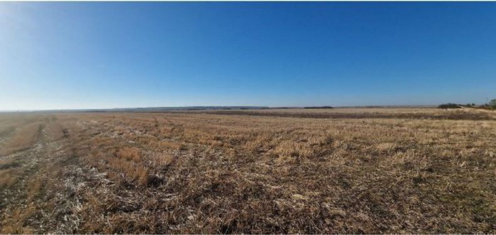 Teren Gradinari, cota 1/2. ID: R1983933