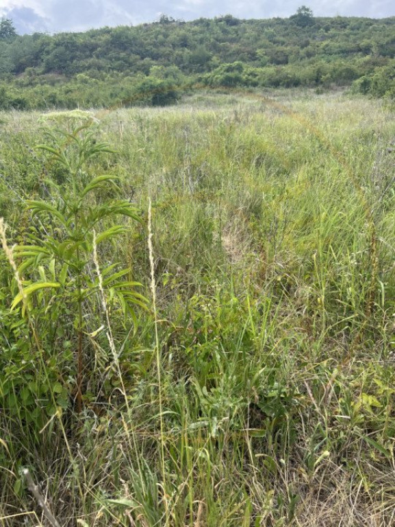 0% Comision Teren 1718 mp intravilan Stefanesti Arges