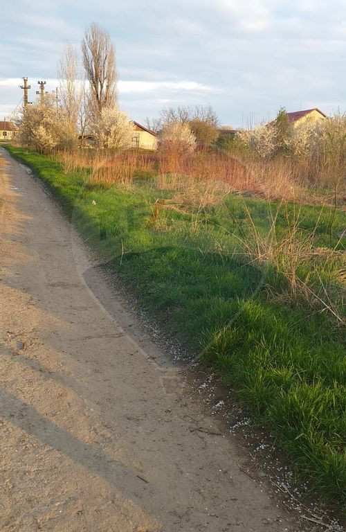 Teren 2,881mp Santaul Mare / Strada principala