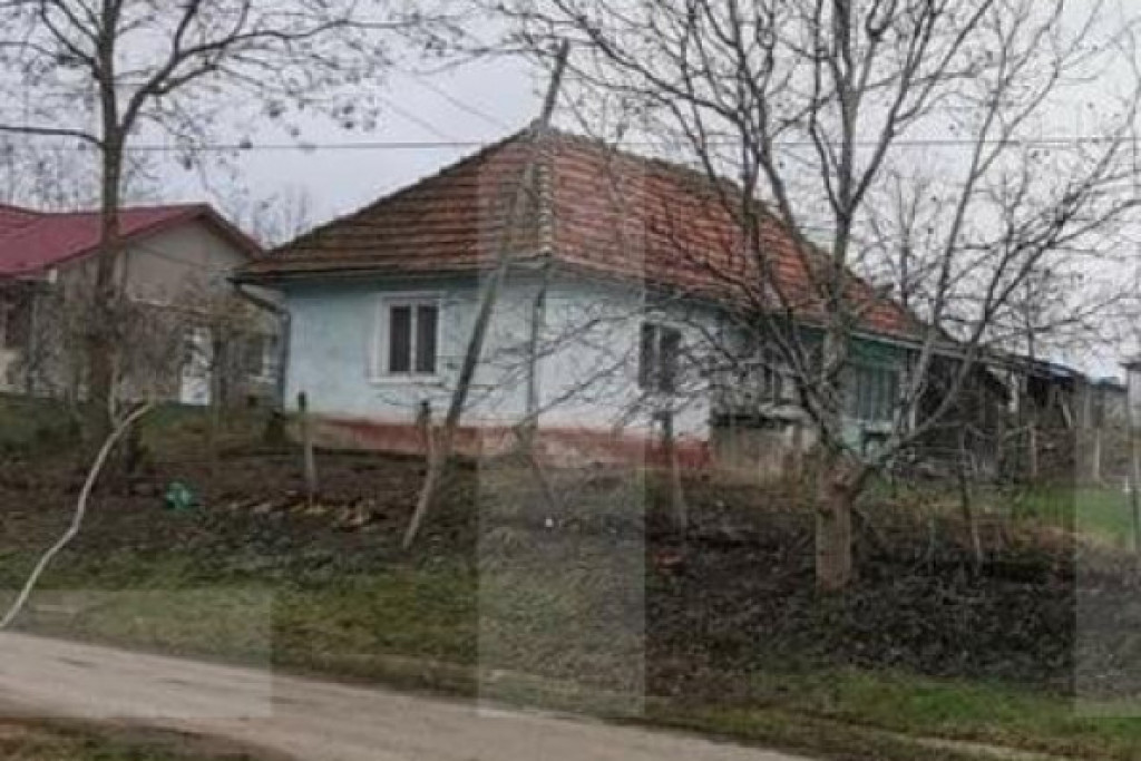 Investitie ! Casa individuala 1 camera, 51 mp, 3000 mp teren