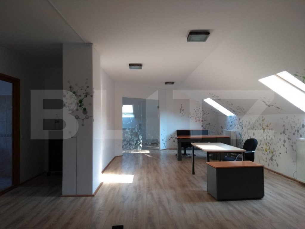 Birouri in vila la Mansarda, 140 mp, zona UMF, Louis Pasteur