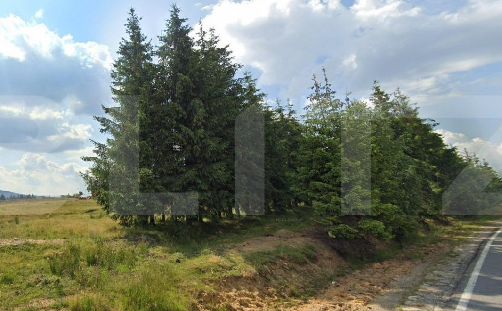 Teren Cabana Belis 1000mp, utilitati