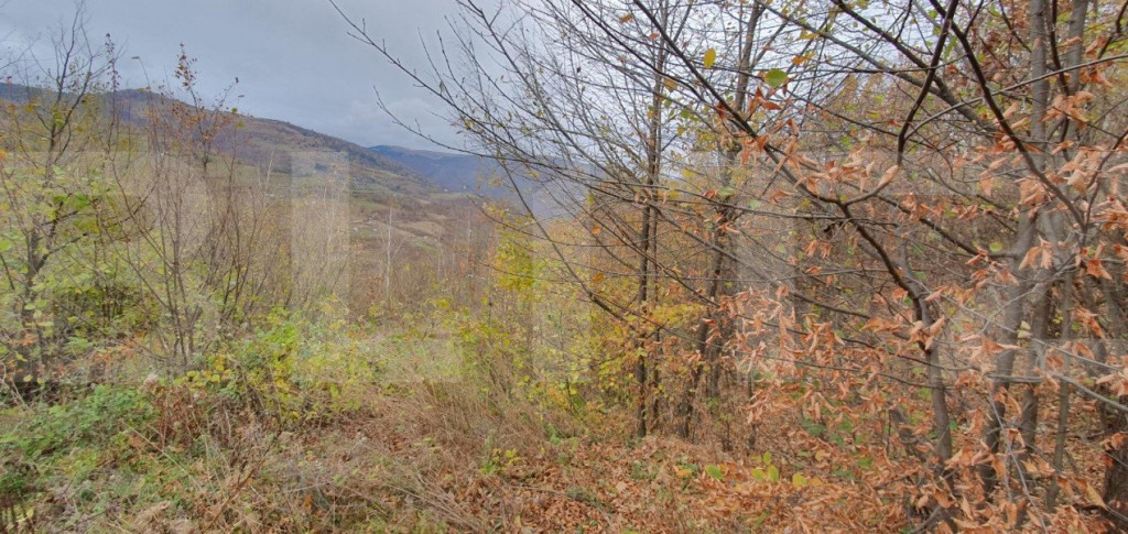 Teren Muntele Rece 3000mp, Intravilan utilitati