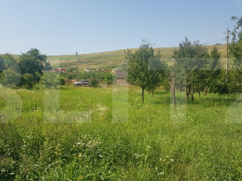 Teren intravilan Campenesti, 11600 mp, 43 ml front, pentru a