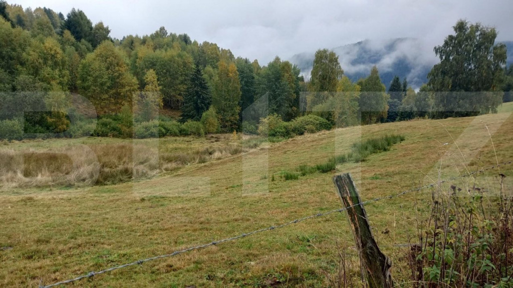 Teren intravilan Rasca, 4000 mp, front 30 ml, apa, curent, i