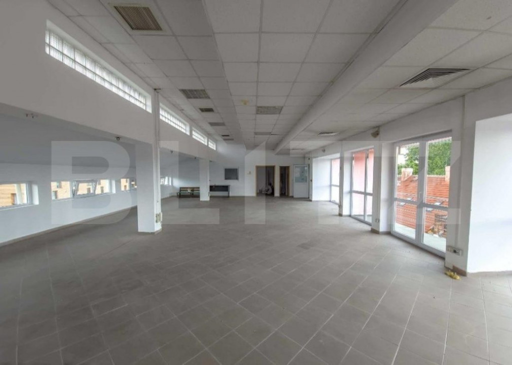 Spatii birouri, 723mp, Iosefin