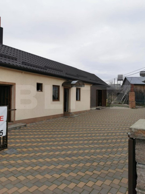 Proprietate 153mp, teren 1800mp, Mitocasi