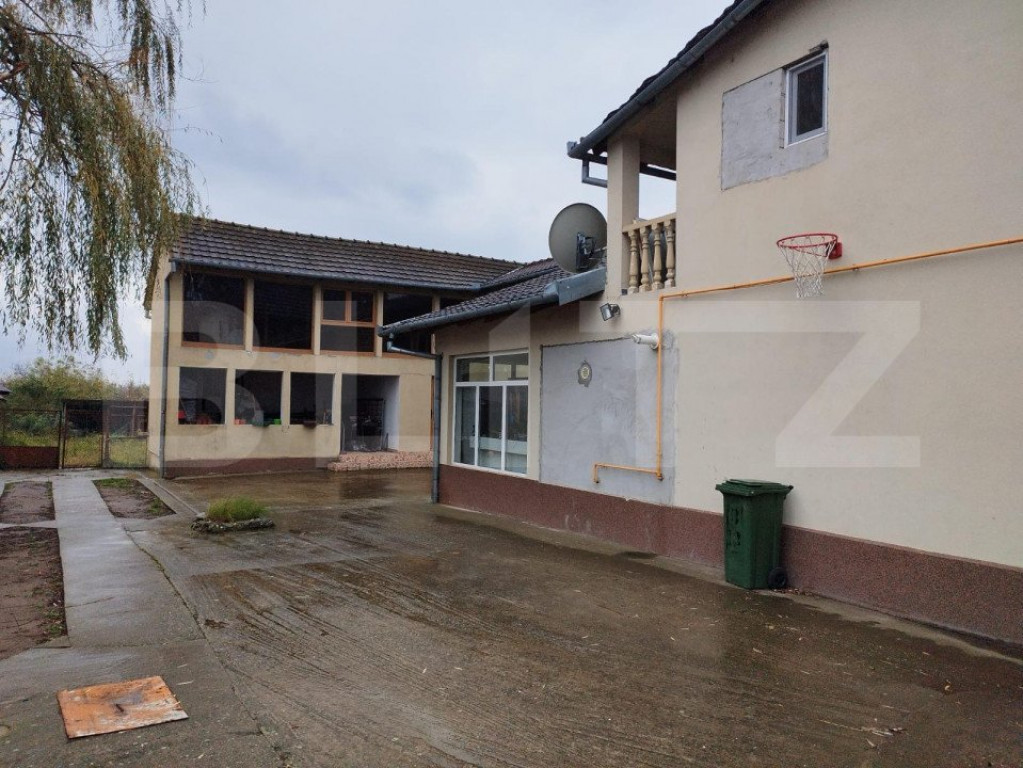 Casa 10 camere, teren 3763 mp, 240 utili, Peciu Nou