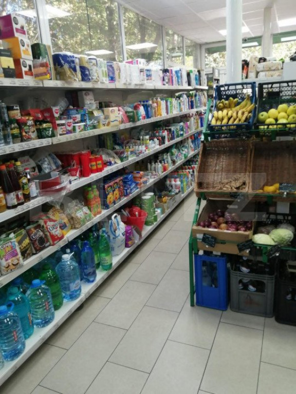 Spatiu comercial, 64mp, cartier Aleea Carpati