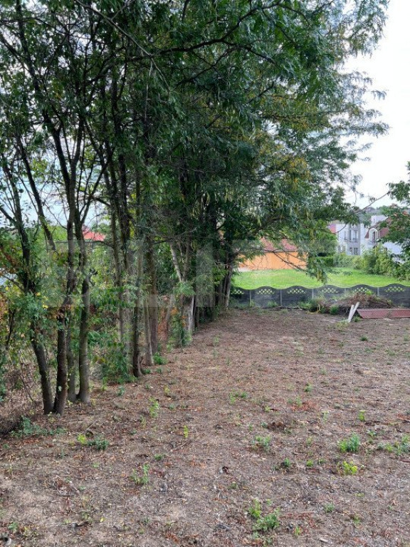 Teren de vânzare băile 1 Mai