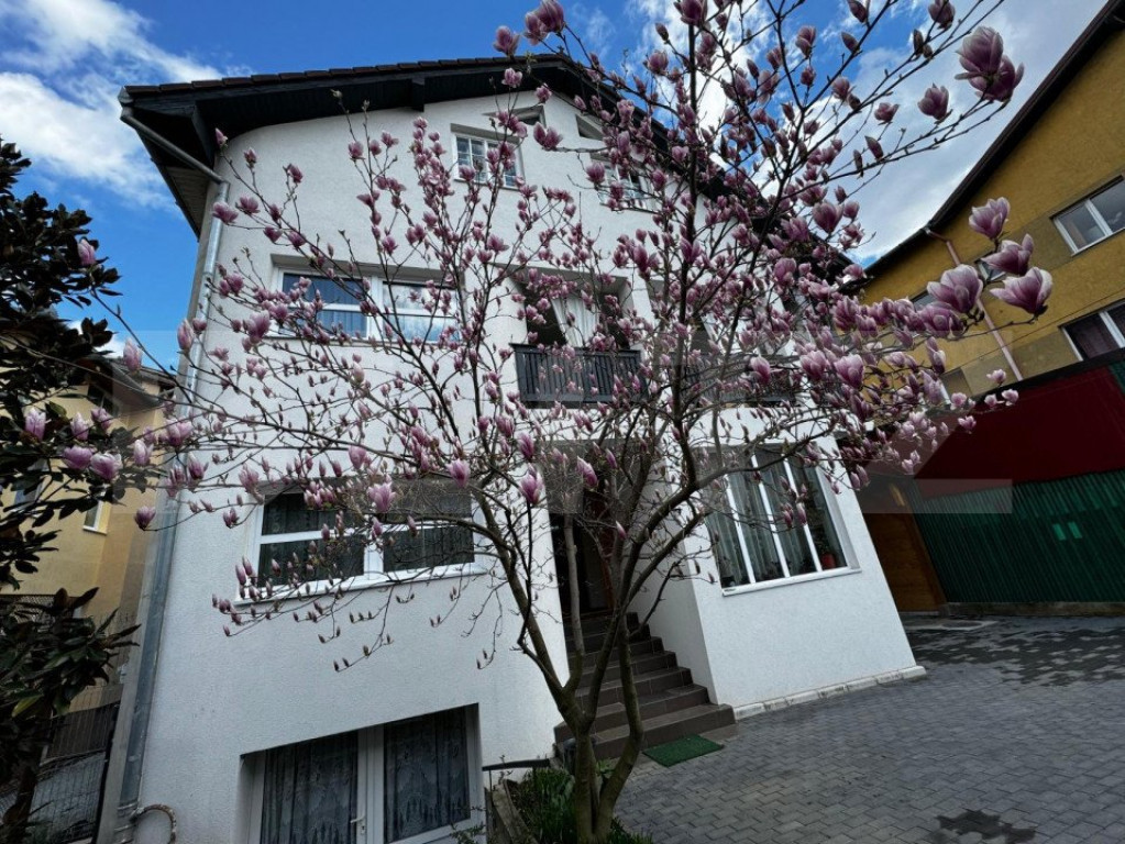 Casă individuală 7 camere, 775 mp teren, zona Cetate - Alb