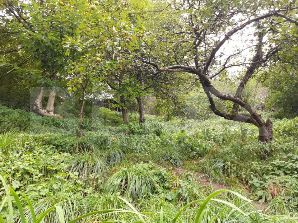 Casa in Rasnov, 90 mp2, teren 1000mp.