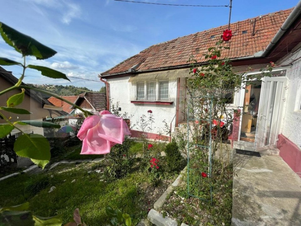 Doua corpuri de casa, 94 mp utili, singur in curte, Schei