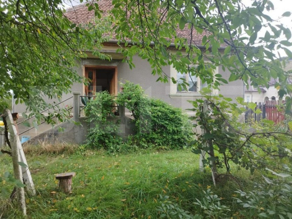 Casa pitoreasca în Viile Tecii cu o grădina de 26 de arii