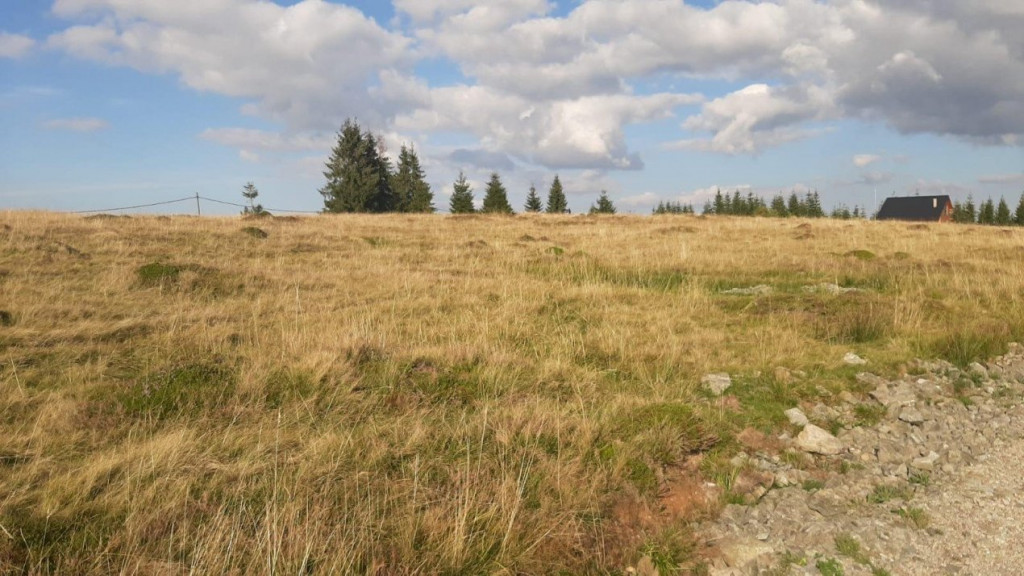 Teren, 1000 mp, intravilan, utilitati, zona Beliș