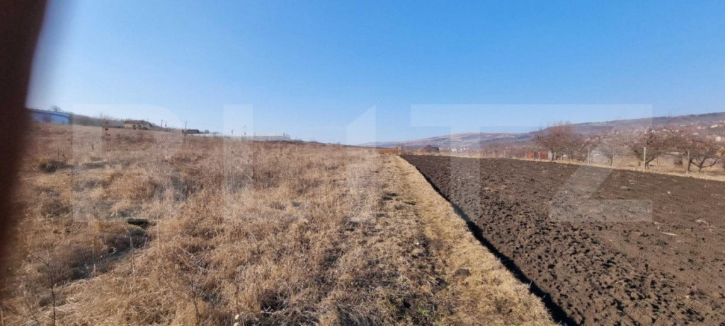 Teren de vanzare in Nojorid Les!