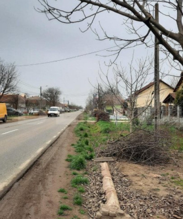 Ocazie! Teren intravilan mare, pentru constructii, Mosnita!