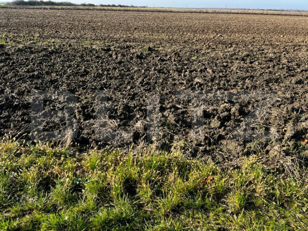 Teren de vanzare, 1039 mp, POT 35%, Lipovei