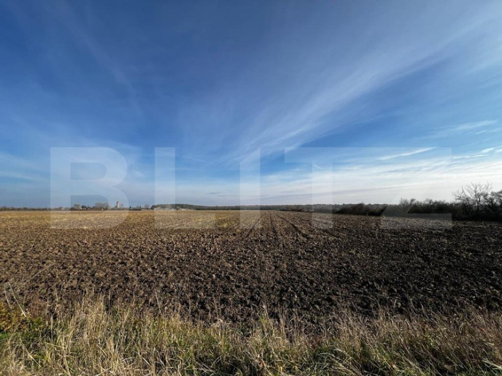 Teren intravilan, 738 mp, f.s. 17 m, Rudicica