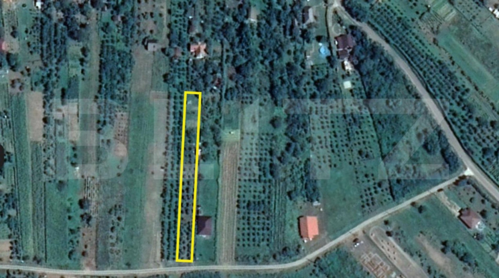 Teren intravilan | 1925mp | Viile Satu Mare