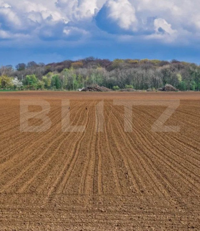 Teren agricol, 23 Ha, zona Sanmartinul Sarbesc