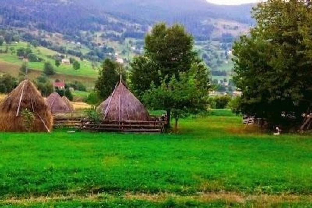 Teren intravilan/extravilan, 8.235 mp, Rogojel