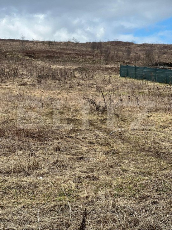 Teren intravilan, 568mp, zona Livezeni