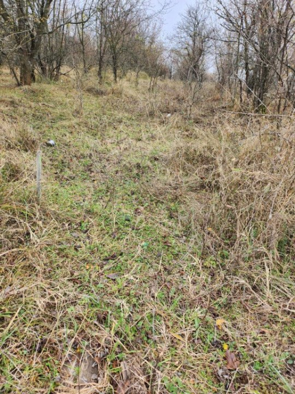 Teren de vanzare, 3960 mp, Smeura