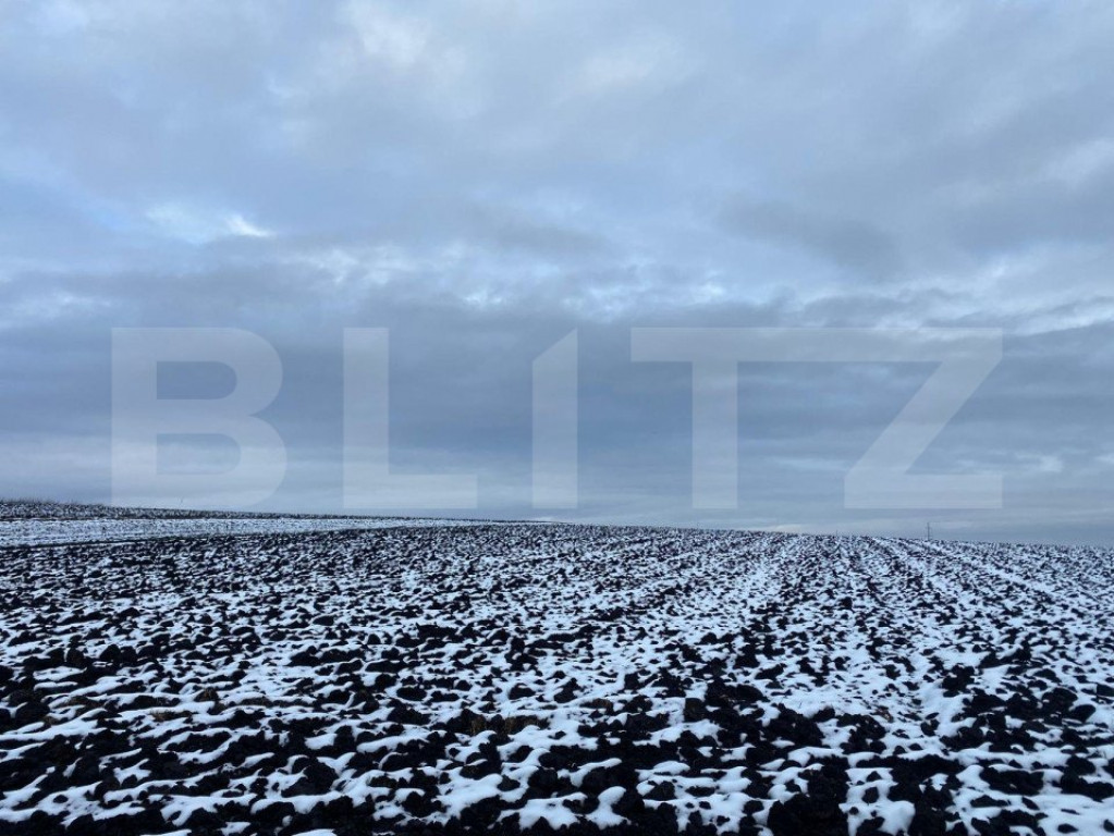 Teren Intravilan, 5000mp, Scheia