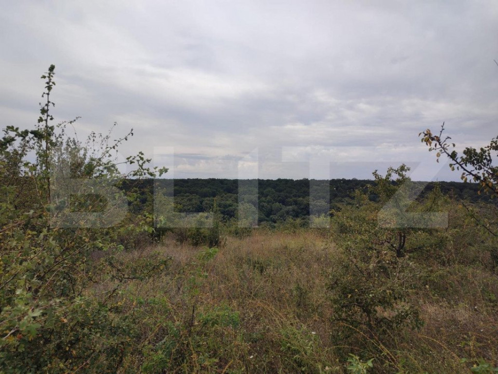 Teren 6291 mp, extravilan, zona Leamna de jos