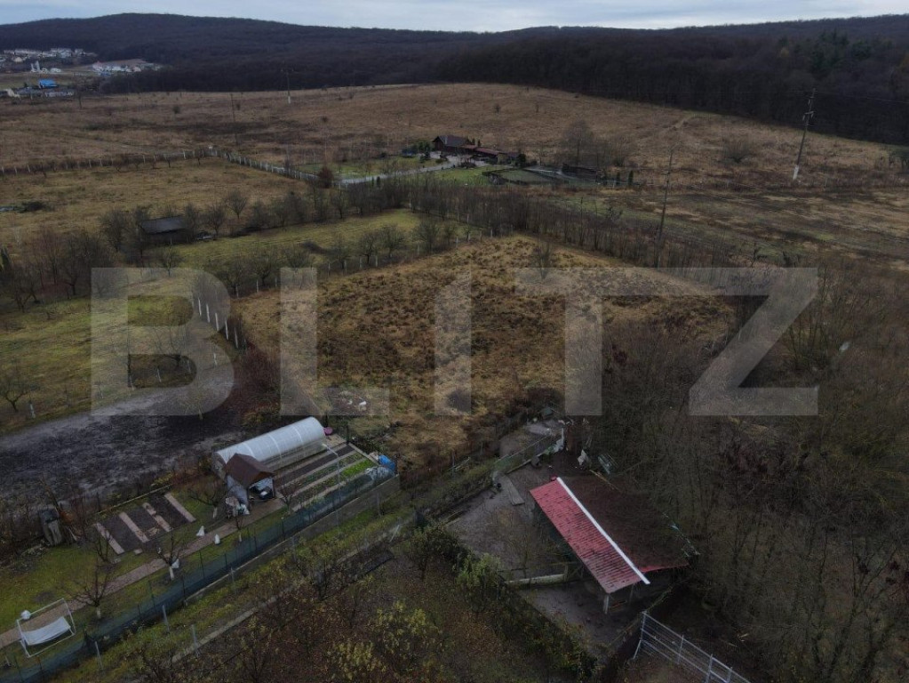 Teren Intravilan, 11.500 mp, Corunca