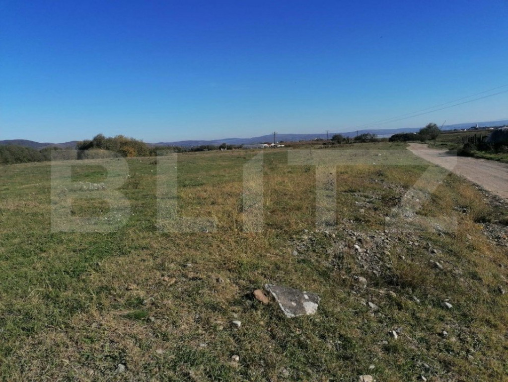 Teren intravilan 17.000mp, in localitatea Sard