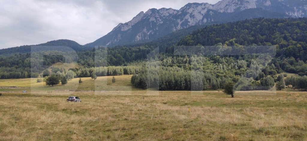 Teren intravilan cu priveliste superba, 3103 mp, PUZ, Plaiul