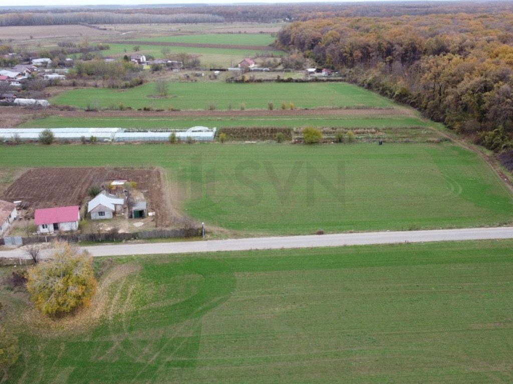 Teren intravilan de Balta Neagra l Nuci l Codrii Vlasiei