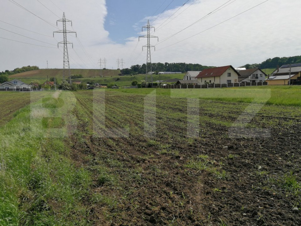 Teren intravilan de 2922 mp situat in Cristesti