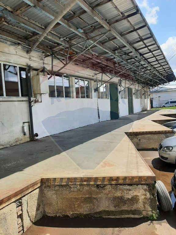 Hale de închiriat în Turda