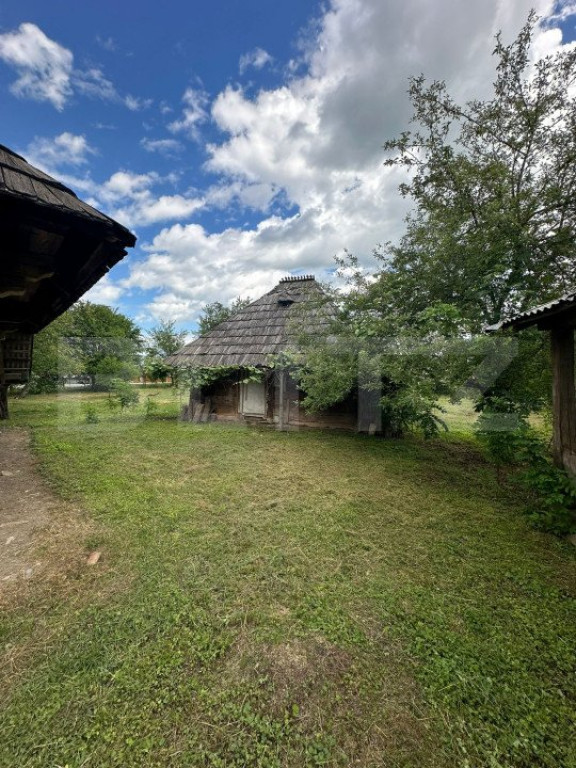 Casa+teren pentru investitie, 5500mp, Horodnic de Sus