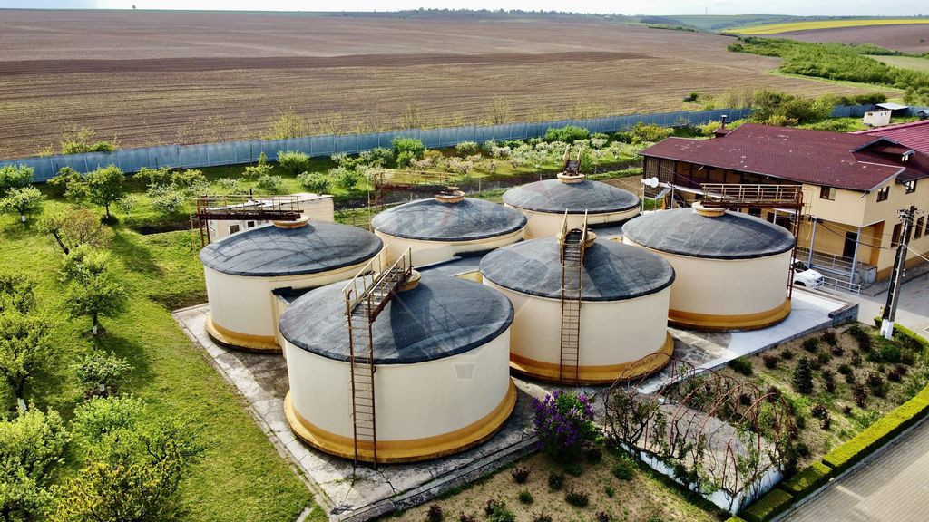 Crama din Buciumeni Afacere la cheie