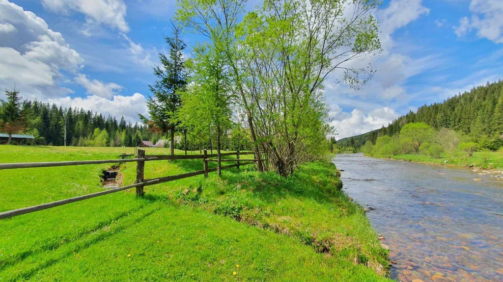 Teren cabana Smida-Doda Pilii