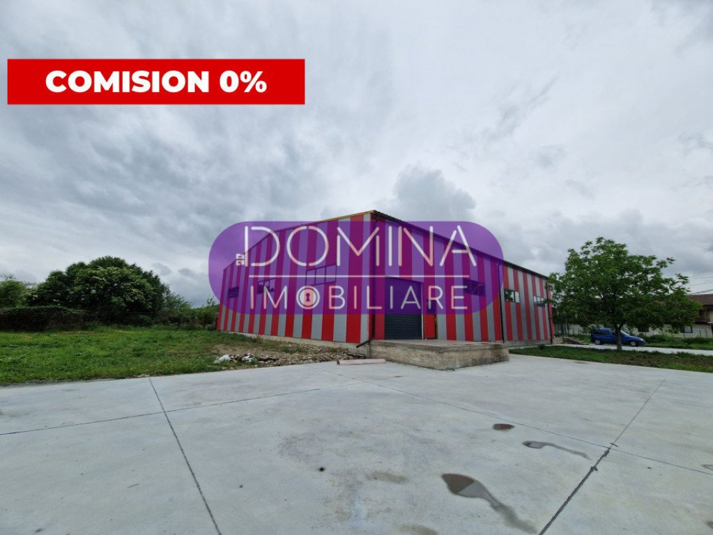 Hala industriala în Bălești - la 2,2 km de noua centura