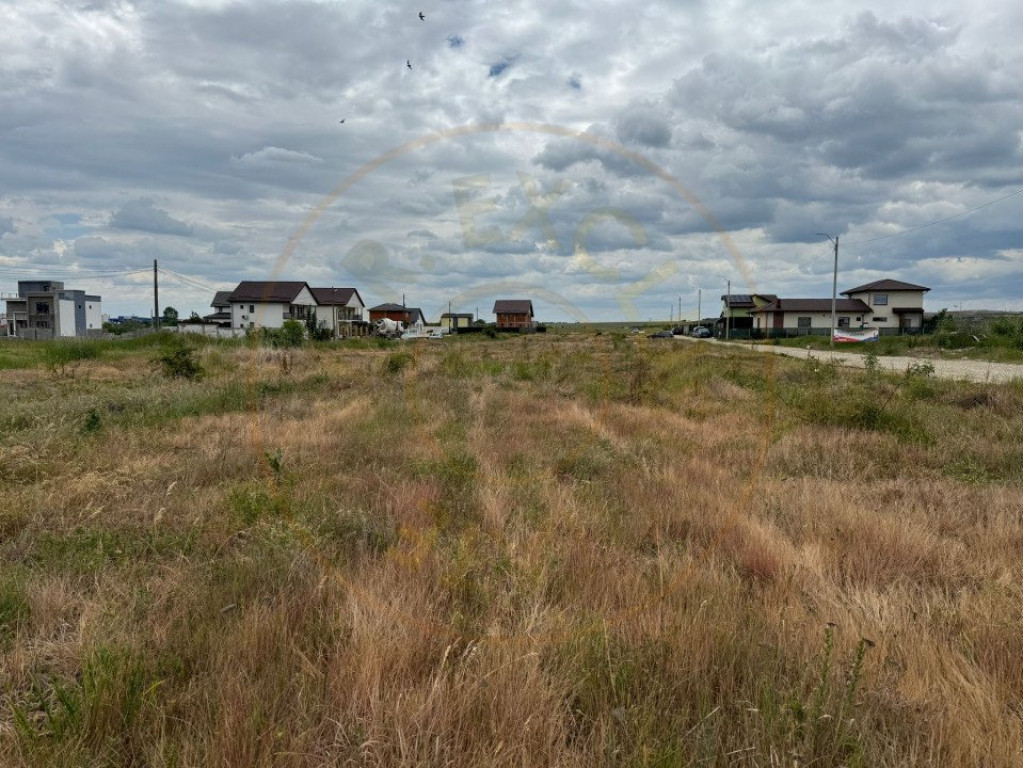 Teren 10.000 mp - Str. Octavian Goga, Craiovei!