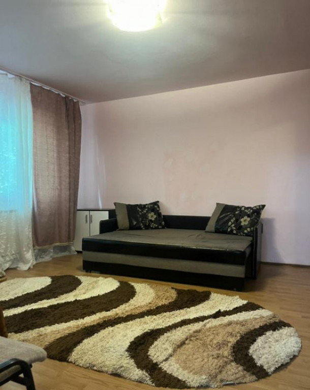 Apartament cu o camera Sagului