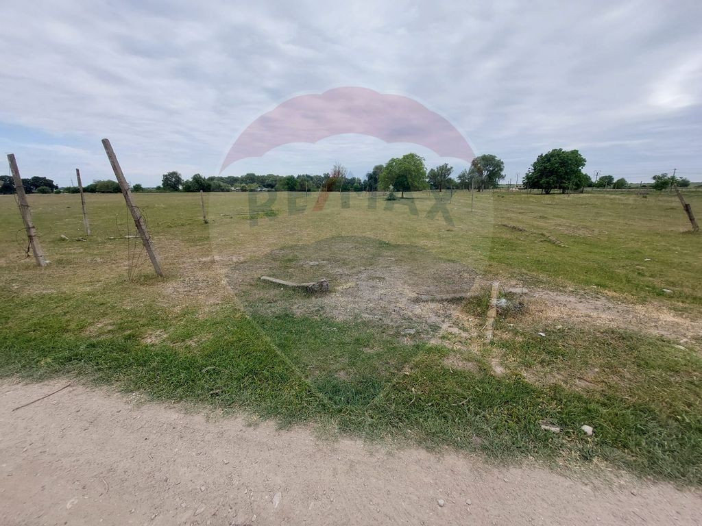 Teren extravilan 5000 mp Carligele