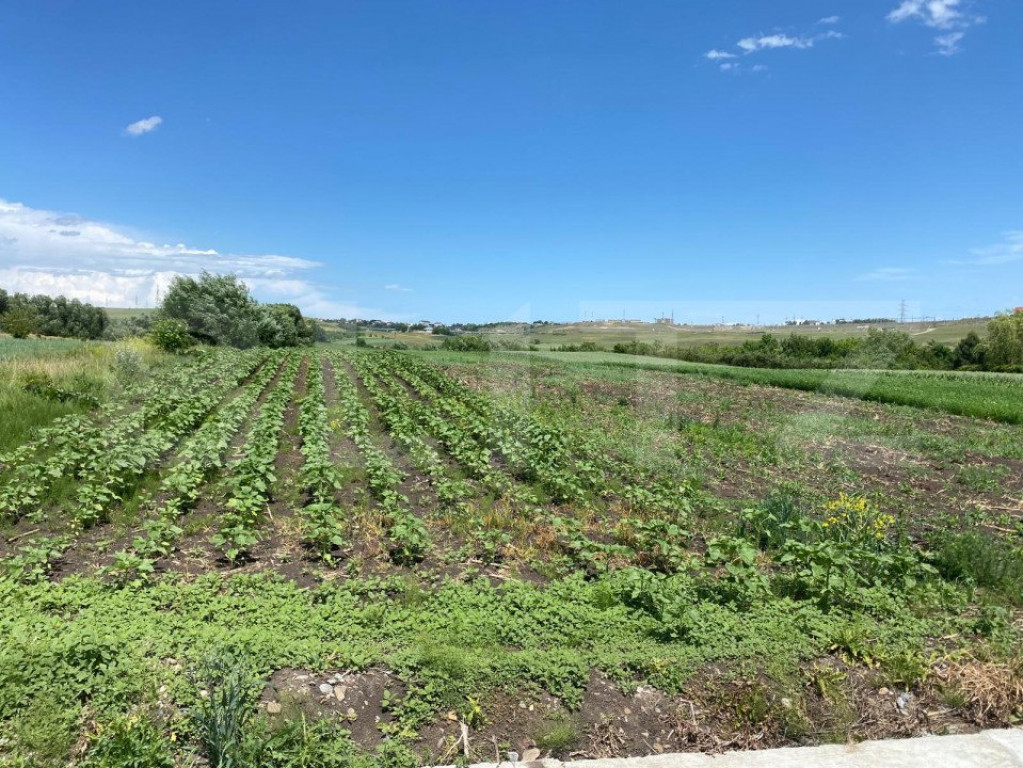 Teren Intravilan , 5800mp , zona Moara