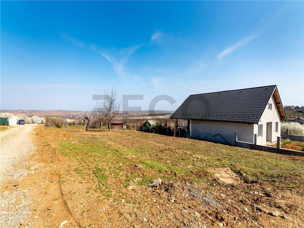 RECO Teren de in Paleu