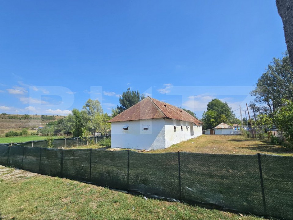 Constructie tip hala, 240 mp utili, teren 1000 mp, Brabova D