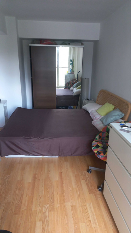 Dimitrie leonida fix la metrou garsoniera dubla